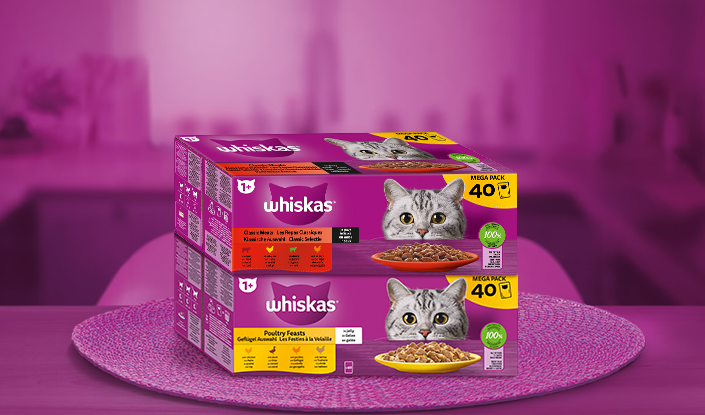 Feuchtnahrung 1+ 40-Pack