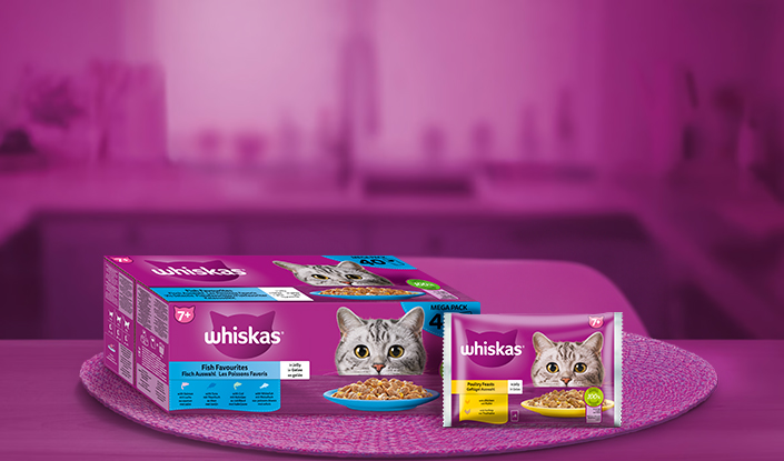 Aliments humides Senior