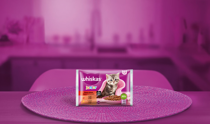 Aliments humides Chatons