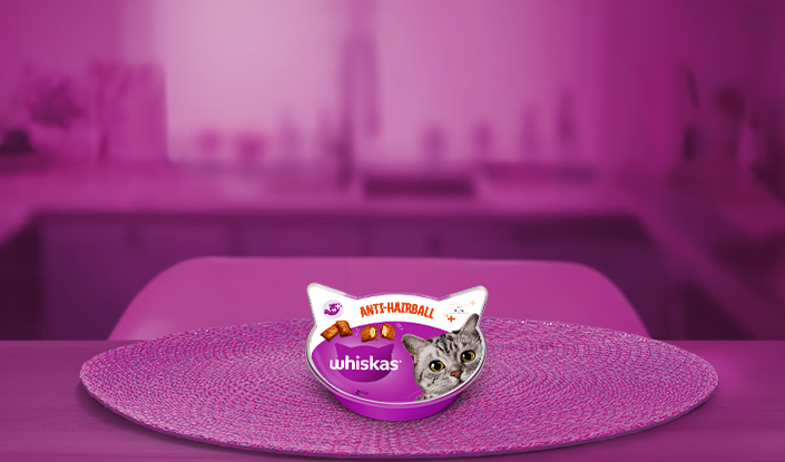 WHISKAS® Anti Hairball 60g